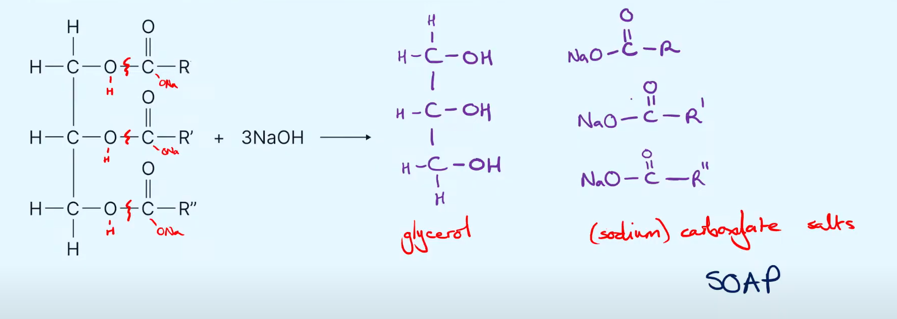 knowt flashcard image