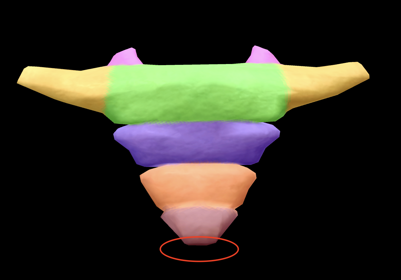 <p>What is this structure?</p>