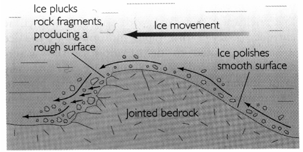 <p>A rocky feature with a smooth rock face on its stoss side and rocky face on its lee side. This happens when a glacier meets an object, abrading it as it moves over</p>