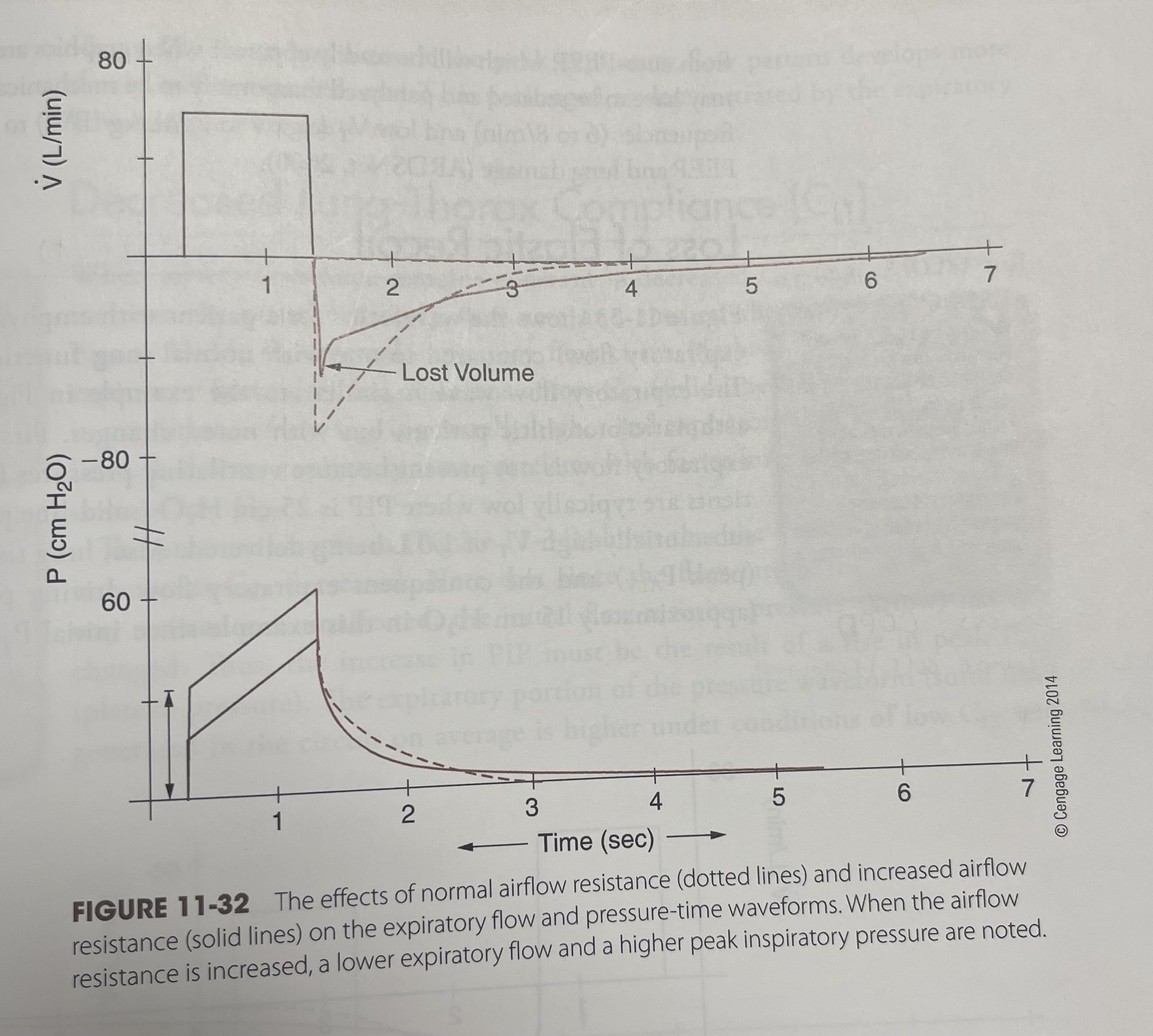 <p>What is this waveforms?</p>