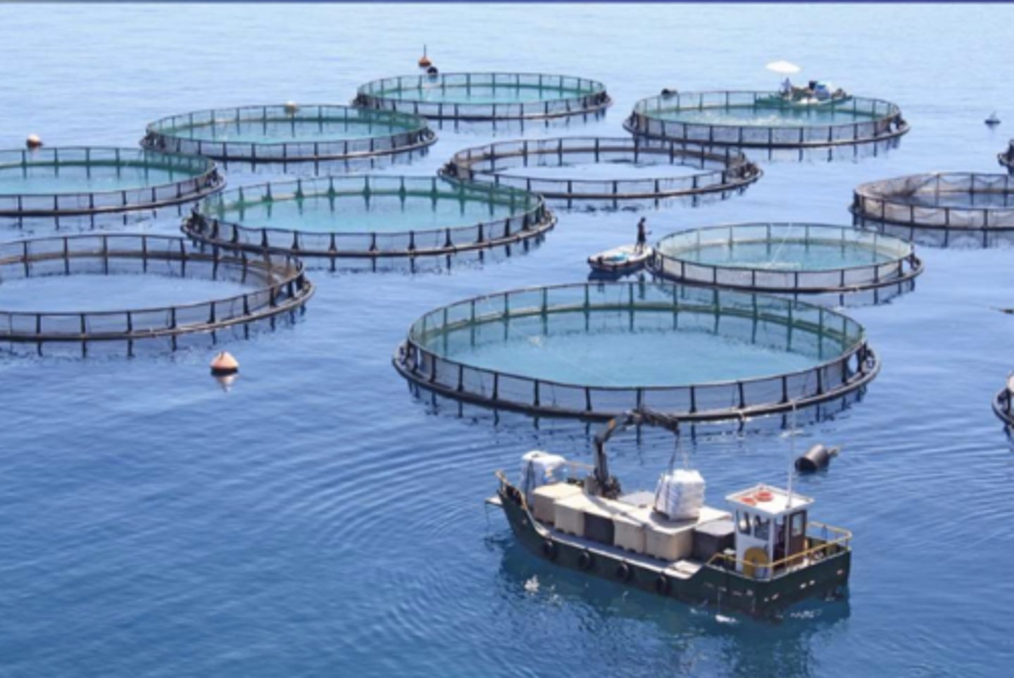 <p>the harvesting of organisms that live under water under very controlled conditions.</p>