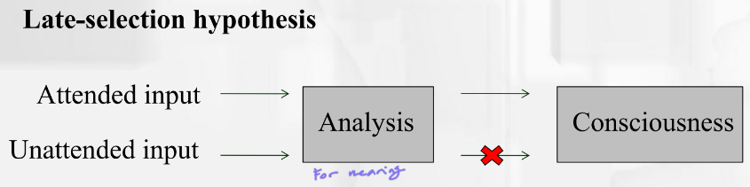 <ul><li><p>selection of stimuli for final processing does not occur until after ALL information has been analyzed (unconsciously) for meaning → selection process happens after</p></li><li><p>the meaning of the biasing word significantly affected participants’ choice</p></li><li><p>yet participants were unaware of the presentation of the biasing words</p></li></ul>