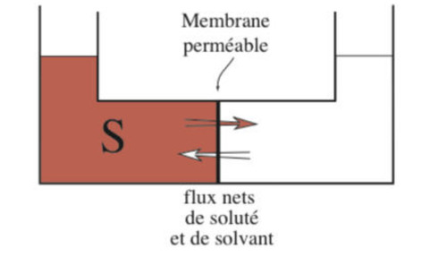%%le solvant%%

 ^^soluté^^ 

$$l'OSMOSE$$

\
\
