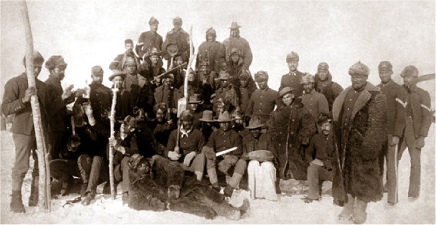 <p>Following the shooting of two white men on August 13, 1906, residents of Brownsville, Texas, blamed the African-American soldiers from the segregated 25th Infantry Regiment stationed at nearby Fort Brown. Despite only tenuous evidence linking them to the crime, President Theodore Roosevelt ordered the dishonorable discharge of more than 150 of the "buffalo soldiers," stripping them of their pensions and barring them from employment in federal civil service jobs. Roosevelt's actions disillusioned many African-Americans, who began to wonder if his progressivism stopped at the color line. In 1972 Congress belatedly exonerated the men, all but one of whom were deceased.</p>