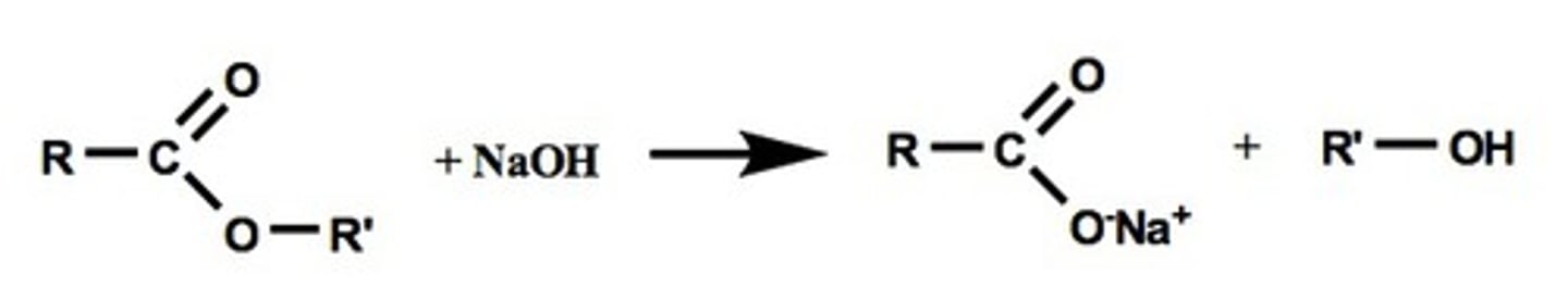 <p>1. NaOH</p>