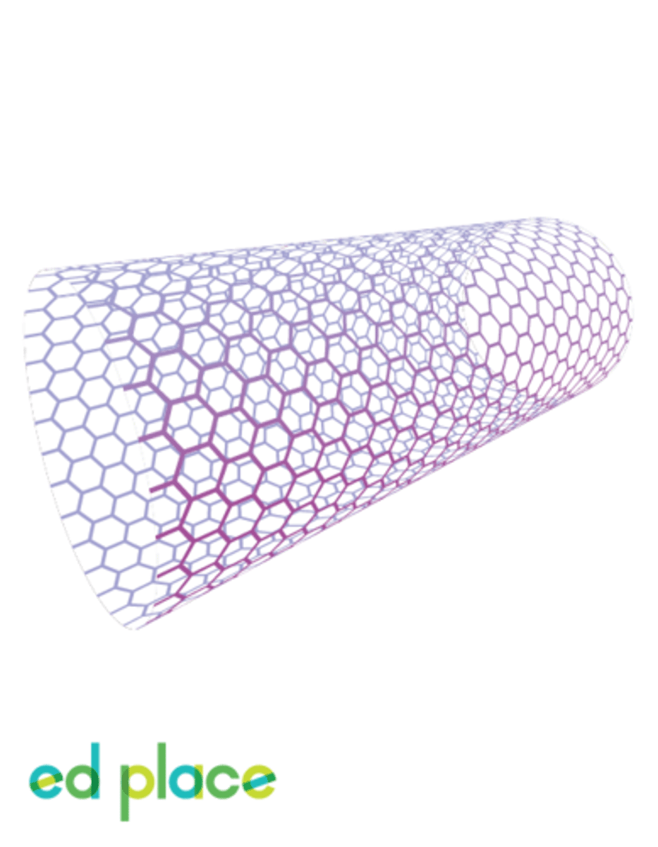 <p>Tube-shaped molecules made up of carbon atoms</p>