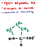 <p>A non-polar amino acid known for its cyclic structure.</p>