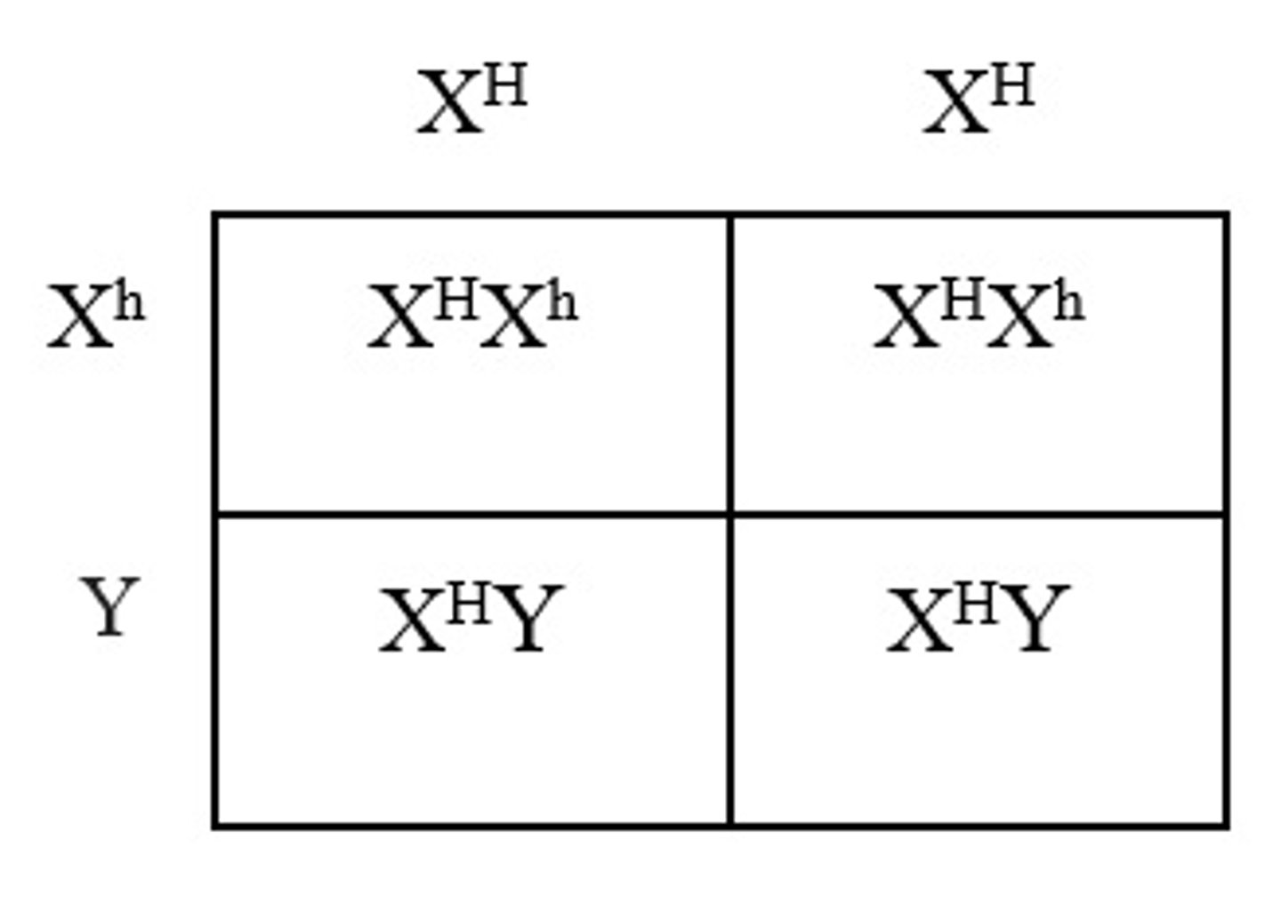 <p>A.0%</p><p>Hemophilia is a condition where the ability of the body to form blood clots is severely reduced. A normal woman, without hemophilia, will have the genotype XHXHand a man with hemophilia will have the genotype XhY. The offspring of these individuals will be 50% XHXhand 50% XHY. Therefore, there is a 0% chance of having a son with hemophilia.</p>