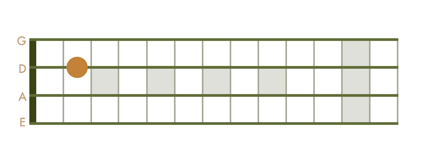 <p>2nd Fret - D String</p>