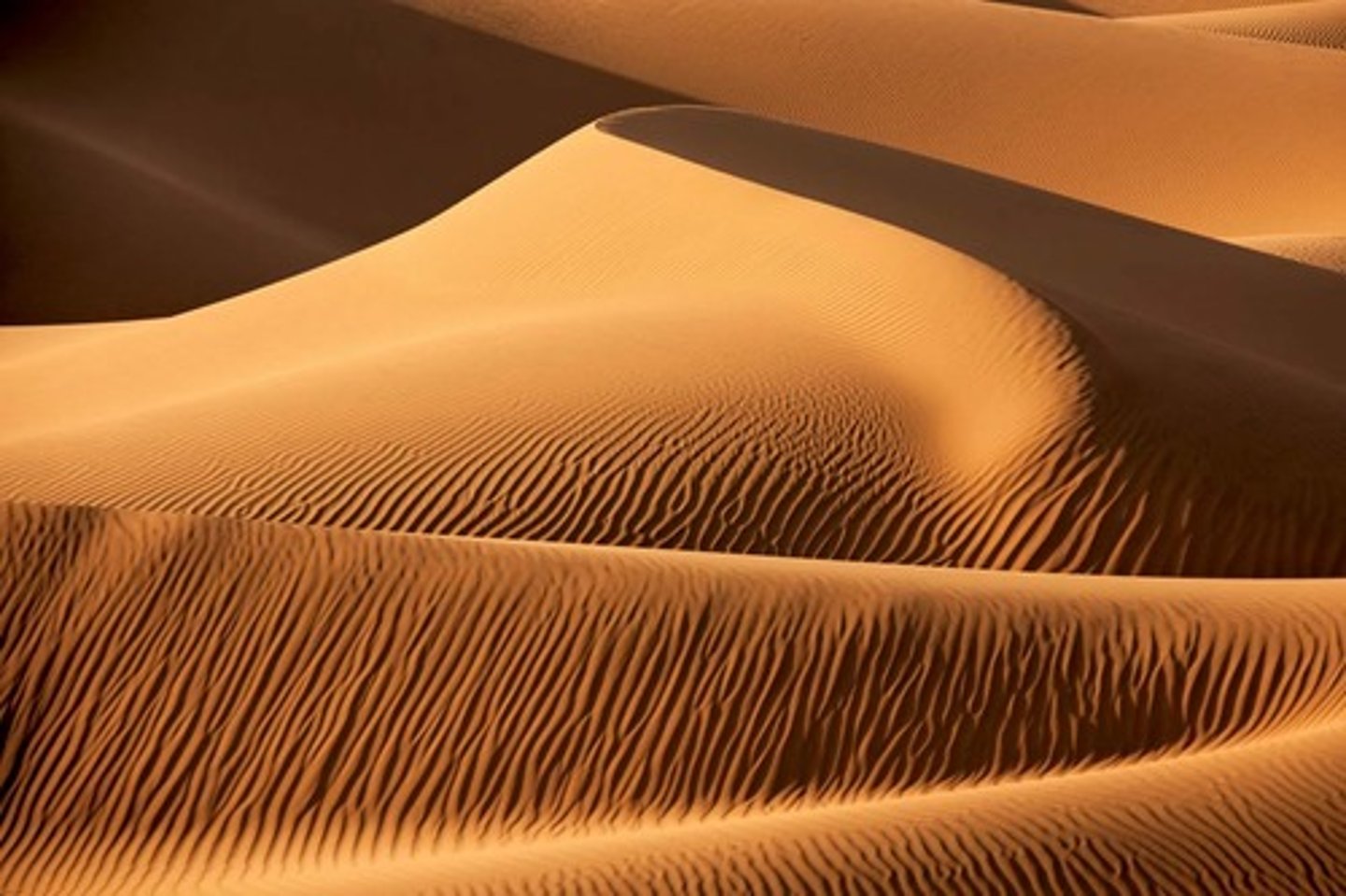 <p>Hills of sand consist of well-sorted sand grains deposited by the wind.</p>