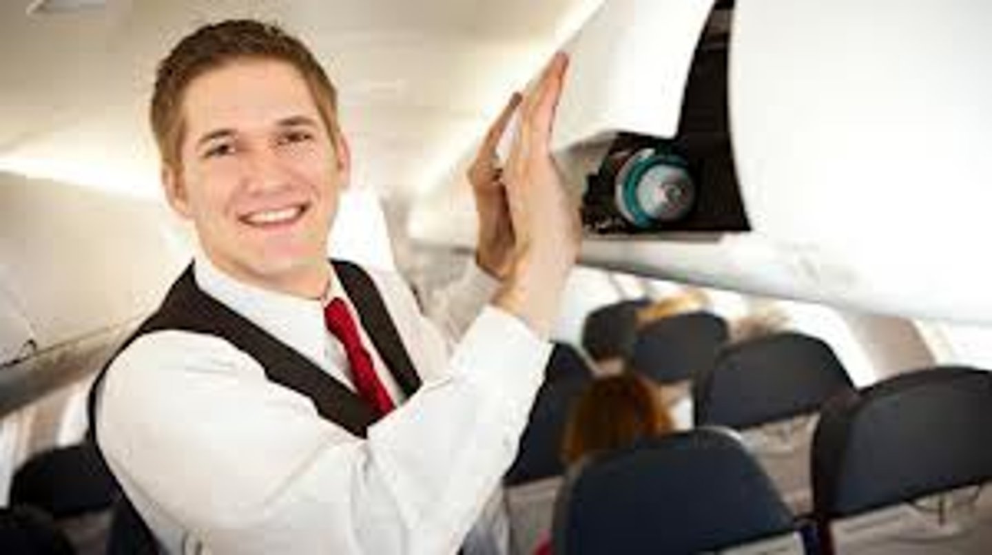 <p>flight attendant</p>