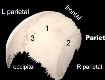 <p>What is 2</p>