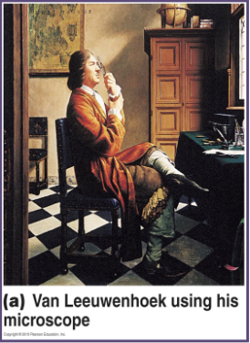 <p>the microscope</p>