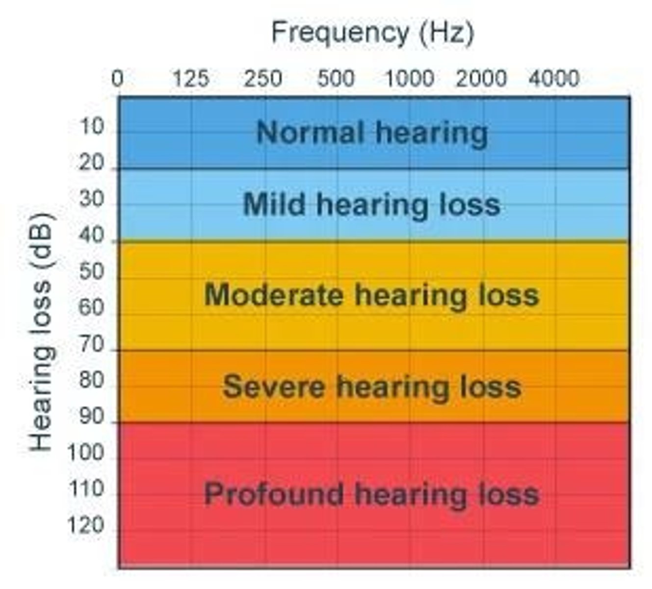<p>A chart that represents a person's hearing ability across different frequencies.</p>