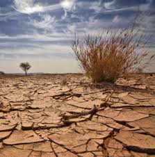 n. a lack, scarcity, inadequate supply; a famine