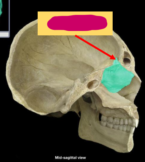 <p>What structure is this?</p>