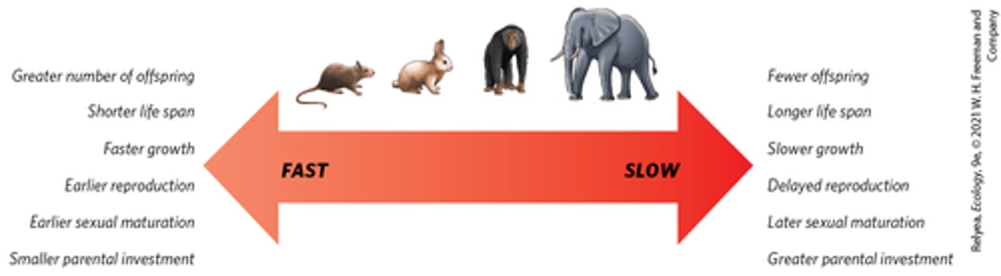 <p>variation in one trait correlates to variation in another trait</p>