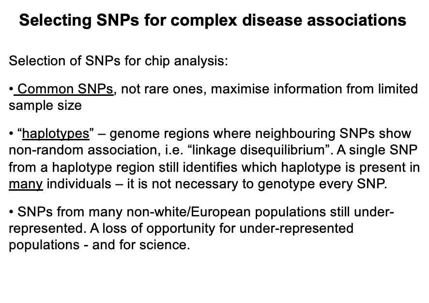 <ol><li><p>Common SNPs→ not rare ones, to maximise variation from limited sample size</p></li><li><p>International HapMap Project</p><ul><li><p>genotyped millions of SNPs from hundreds of mother-father-child trios from diverse populations to identify&nbsp;‘haplotypes’</p></li></ul></li></ol><p></p>