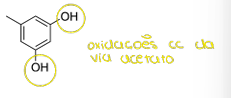 <p>líquens</p><p>(na figura está o orcinol)</p>