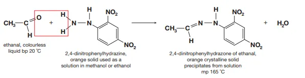 <p>Brady’s reagent is added and if an aldehyde or ketone is present, a deep orange precipitate is formed. If the precipitate is purified via precipitation and the melting point is determined, we can identify the particular aldehyde or ketone present as each Brady’s reagent derivative of an aldehyde or ketone has a particular melting point</p>