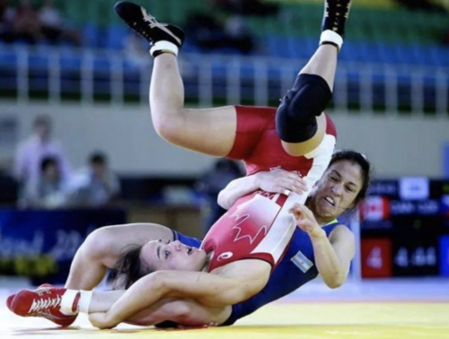 <p>the (female) wrestler</p>