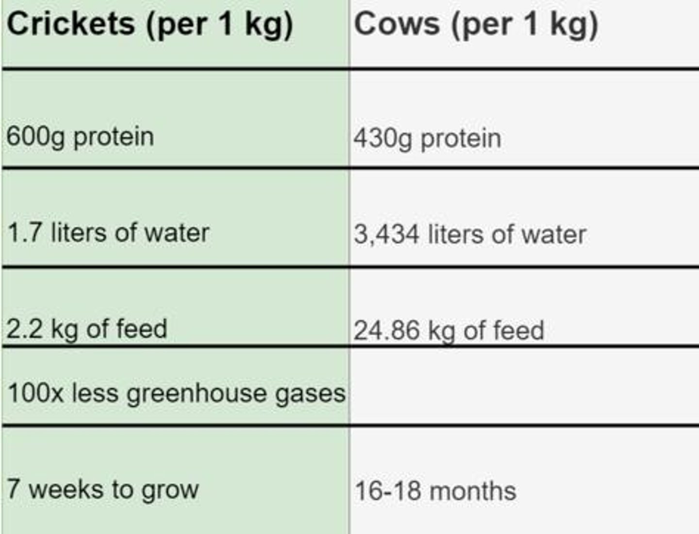 <p>Snack foods and protein bars made with cricket powder and other insect ingredients.</p>
