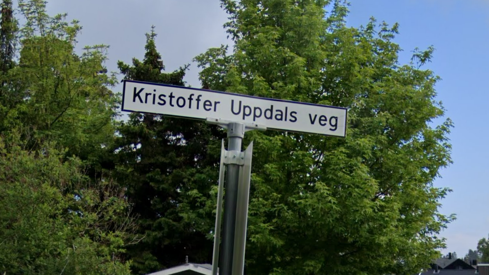 term image