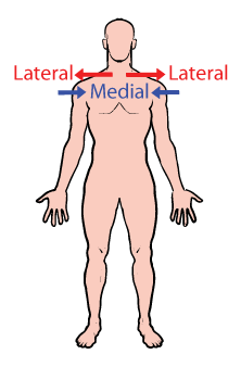 <p>lateral: away from midline medial: towards midline</p>