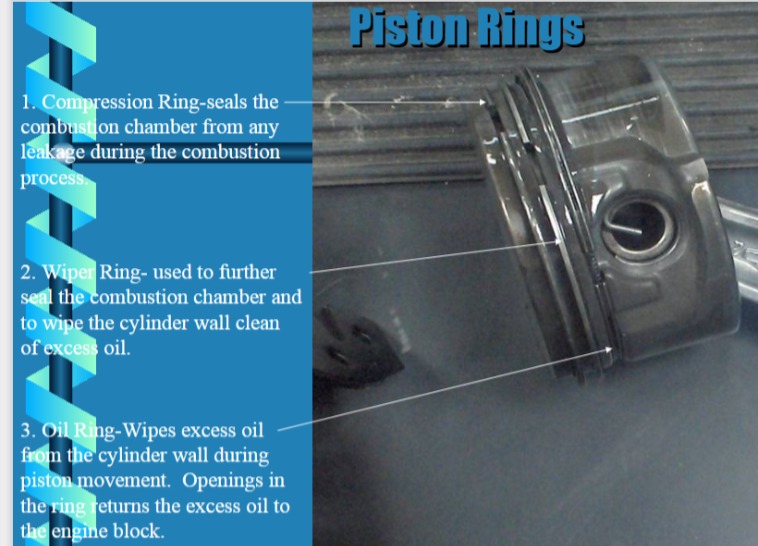 <p>Piston Rings (INFO IMAGE)</p>