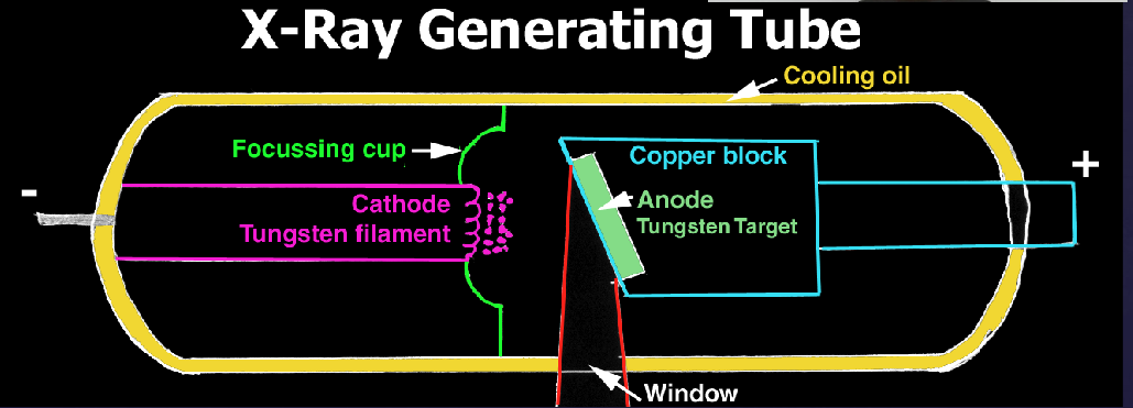 <ol><li><p><strong>cathode</strong>: electron source </p></li><li><p><strong>focussing cup</strong>: concentration of electrons </p></li><li><p><strong>tube voltage (kVp) aka potential difference:</strong> mechanism to accelerate electrons </p></li><li><p><strong>anode</strong>: target to stop electrons </p></li></ol><p></p>