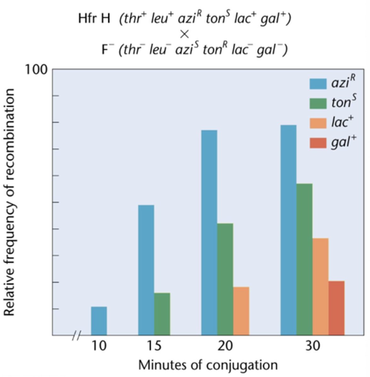 <p>transferred and recombined sooner than others</p>