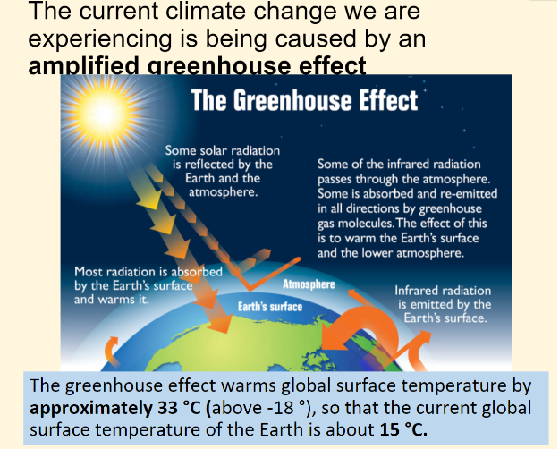 The greenhouse effect is a process that occurs when gases in Earth's atmosphere trap the Sun's heat. This process makes Earth much warmer than it would be without an atmosphere. The greenhouse effect is one of the things that makes Earth a comfortable place to live.