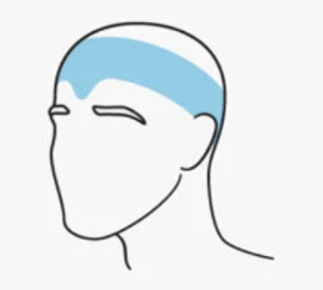 <p>stimuli sensed by the CNS</p>