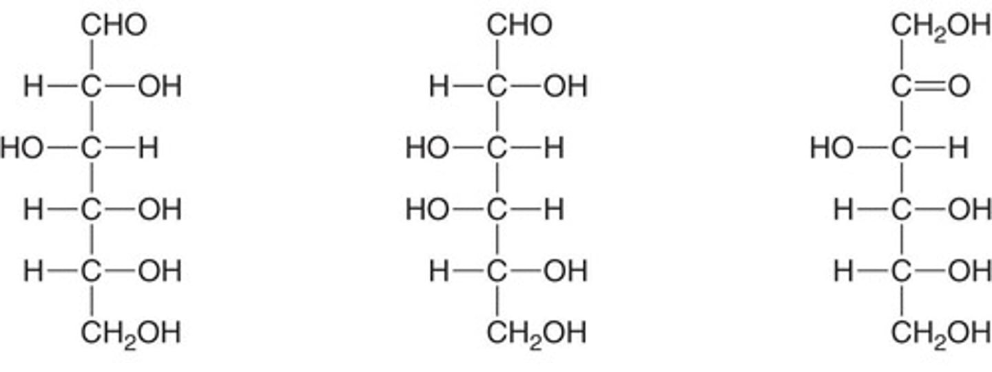 <p>Based on the number of carbons (triose, tetrose, pentose, hexose) and the carbonyl functional group (aldose or ketose).</p>