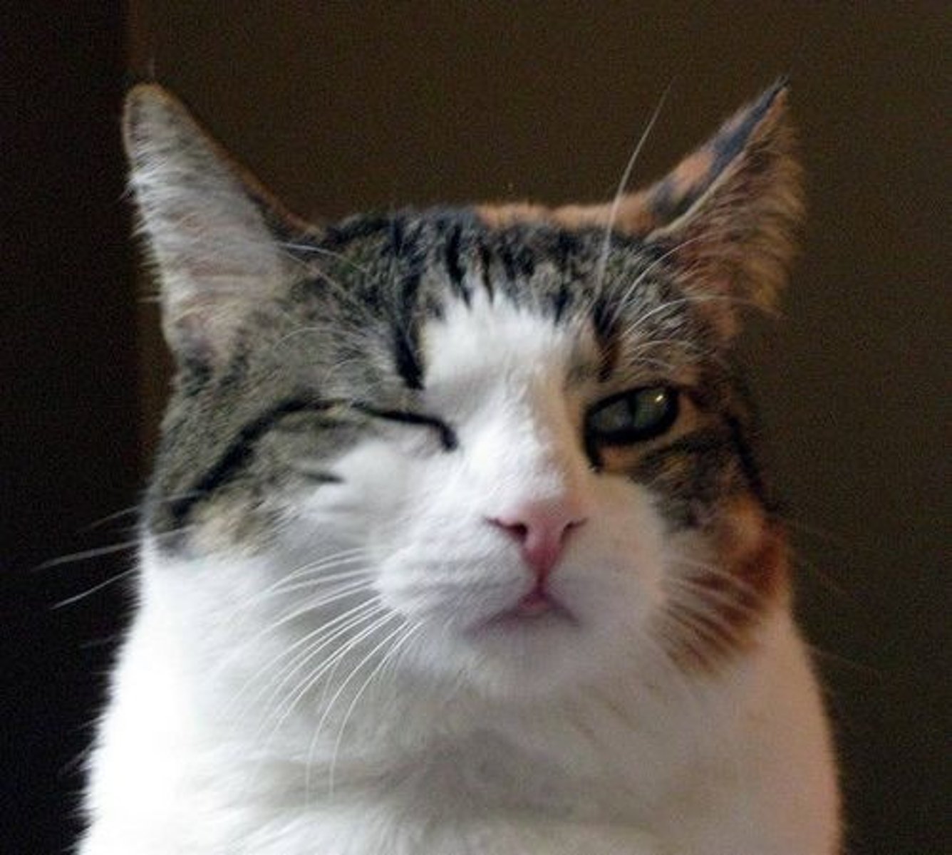 <p>blinzen</p>