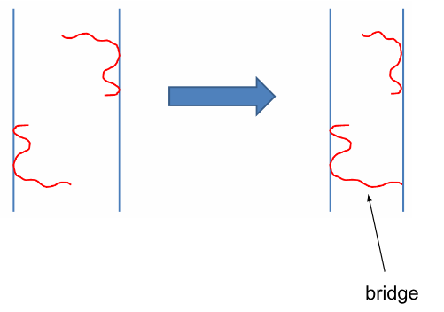 <p> • <mark data-color="yellow">Partial coverage of surfaces </mark>can lead to the formation of macromolecular bridges between the surfaces.</p><p> • Attractive (destabilizing) force</p><p></p>