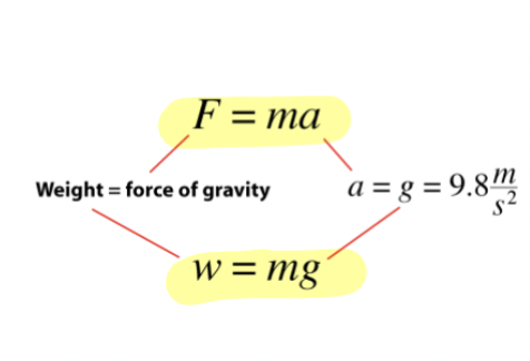 <p><strong>Weight</strong></p><ul><li><p>Force of gravity acting on the mass</p></li></ul><p></p><p><strong>Mass</strong></p><ul><li><p>Quantitative measure of inertia; the amount of matter</p></li></ul><p></p><p><strong>Kilogram</strong></p><ul><li><p>Measure of mass</p></li></ul><p></p>
