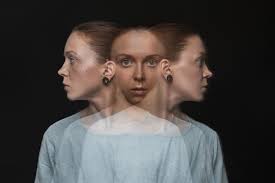 <p>Outline a criticism of the indivisibility argument mental is divisible</p>