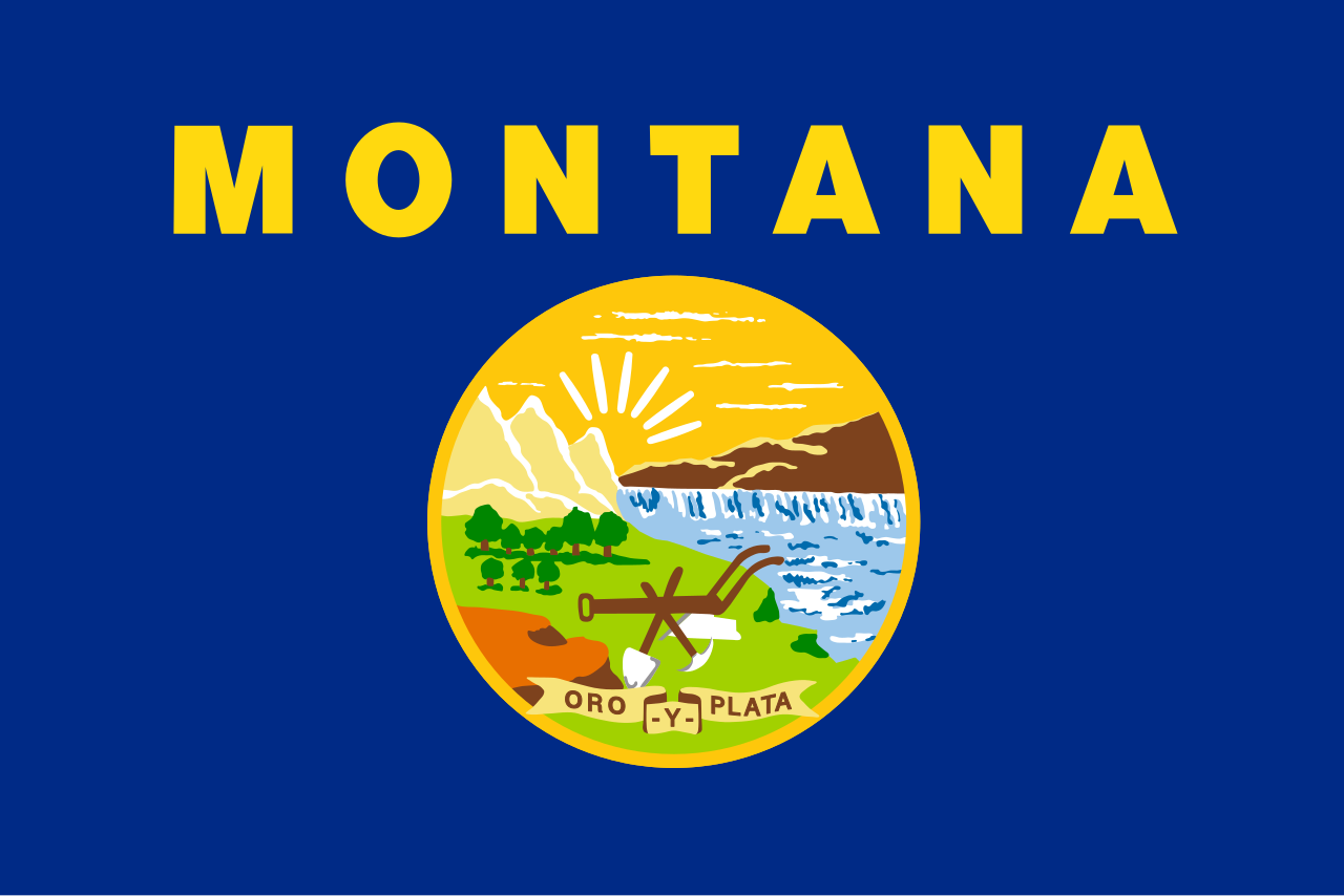 <p>Dark blue background with emblem</p>