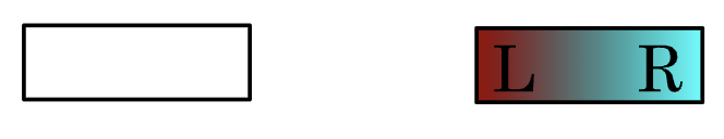 <p>blindness in the left eye</p>