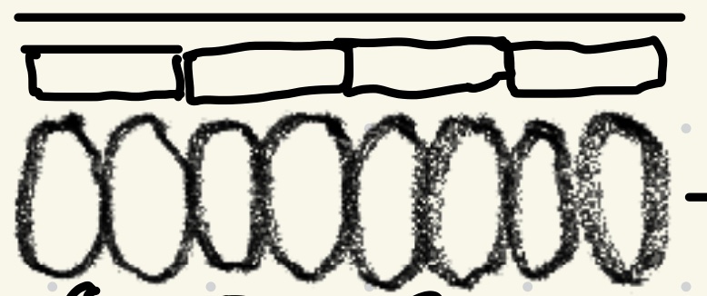 <p>Assimilationsparenchym - Pali…</p>