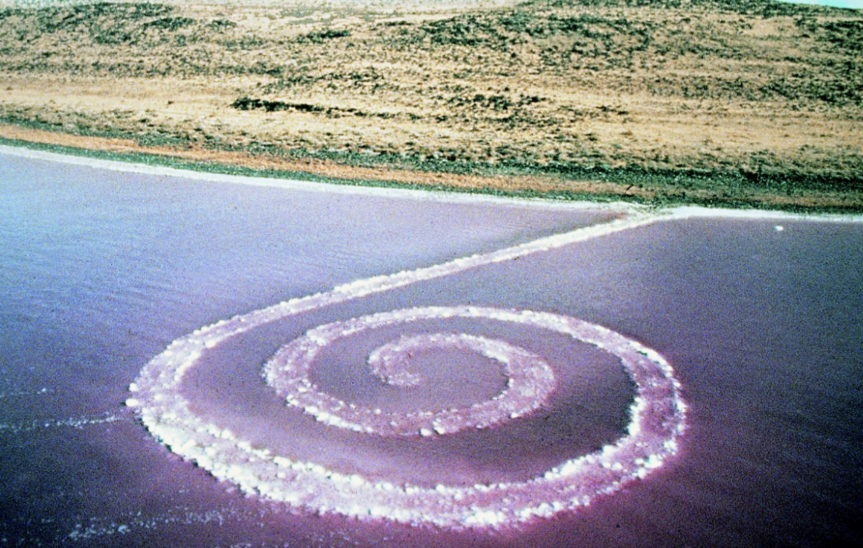 term image