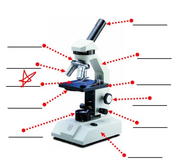 <p>this part of a microscope</p>