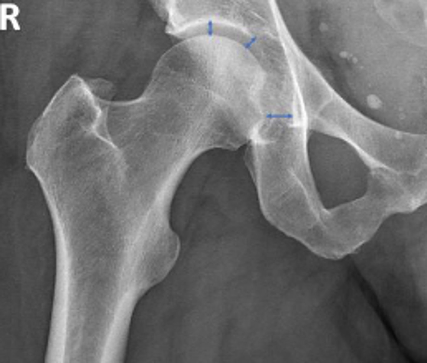 <p>What is the name of the assessment?</p>