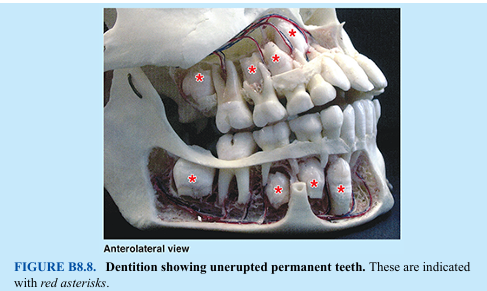 <p>Age Changes in Face</p>