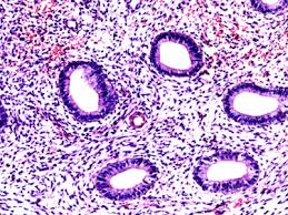 <p>How do staining techniques help improve our knowledge of cell structure and function?</p>