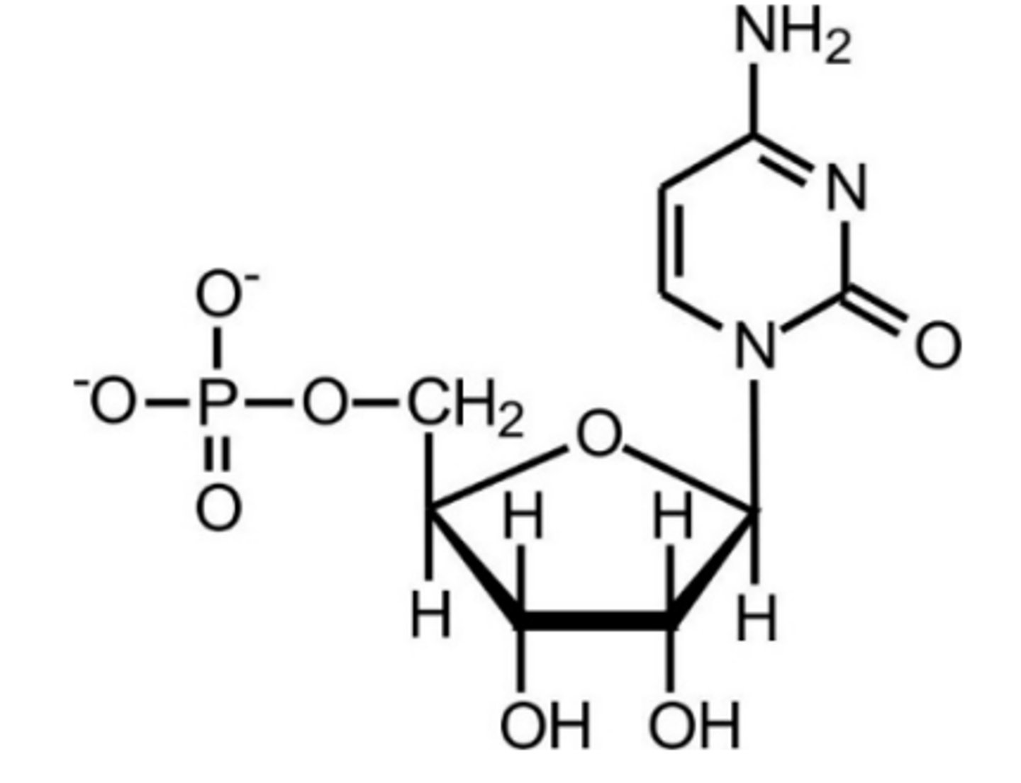 <p>two inhibit OMP decarboxylase - minor level of control</p>