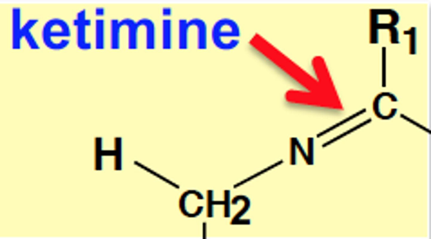 <p>H2-C-N=C-R1</p>