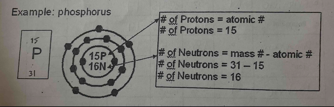 <p>CHEMISTRY </p><p>Bohr diagrams of an isotope of a given atom </p>