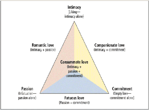 <p>three components:</p><ul><li><p>intimacy</p></li><li><p>passion</p></li><li><p>commitment</p></li></ul><p>like a three way venn diagra, types of love by the overlap.</p><p>leads to 7 types of love </p><ul><li><p>Liking</p><ul><li><p>Intimacy without passion or commitment</p></li></ul></li><li><p> Infatuation</p><ul><li><p>Passion as the only element</p></li></ul></li><li><p> Empty Love</p><ul><li><p>Commitment without intimacy or passion</p></li></ul></li><li><p>Romantic Love</p><ul><li><p>Intimacy and passion</p></li></ul></li><li><p>Companionate Love</p><ul><li><p>Intimacy and commitment</p></li></ul></li><li><p> Fatuous Love</p><ul><li><p>Passion and commitment without intimacy</p></li></ul></li><li><p> Consummate Love</p><ul><li><p>Intimacy, passion, and commitment</p></li></ul></li></ul><p></p>